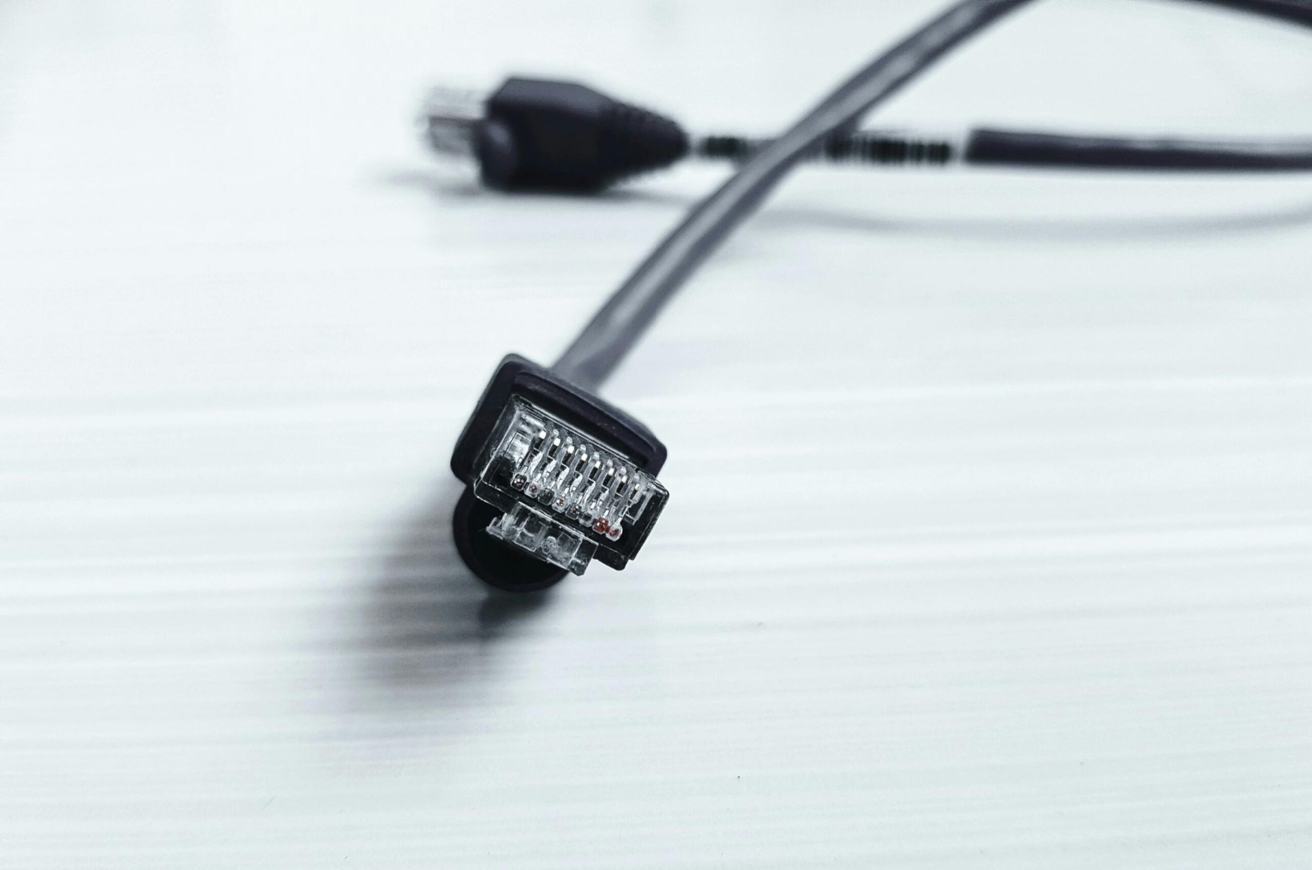 Detailed image of a black ethernet cable with RJ-45 connector on a white surface.